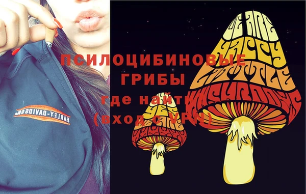 СК Баксан